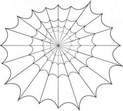 Spider silk Spider web Clip art - spider 791*720 transprent Png Free ...