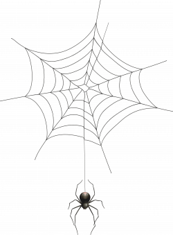 Spiderweb Clipart Realistic - Spider Web Transparent ...
