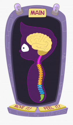Spine Clipart Brain - Illustration #2603732 - Free Cliparts ...
