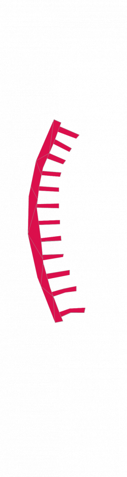 Interactive Spine | Spinal Research