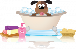 Splash Dog Mobile Groom and Spa | Professional Pet Styling, Delivered.