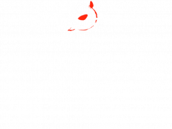 Splash Supply Company | Relax and Reconnect with Nature
