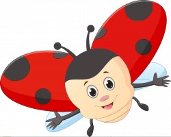 Ladybugs 3's | Splash Zone Preschool