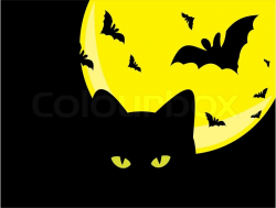 Spooky Halloween Background With Witch Silhouette And Scary ...
