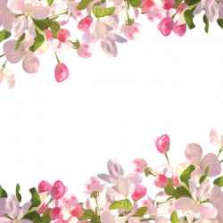 Realistic Spring Flowers Background, Spring, Flowers PNG and PSD ...