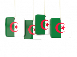 Four square labels. Illustration of flag of Algeria