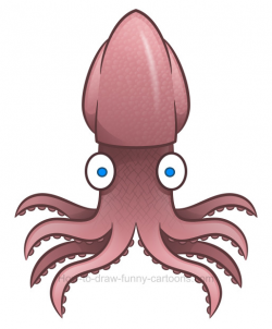 How to draw a squid clipart
