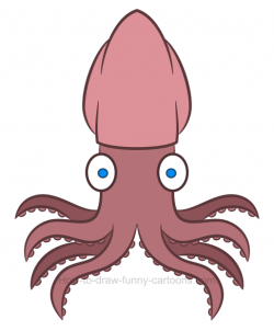 How to draw a squid clipart