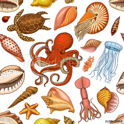 seamless pattern shells, seaweed and octopus and squid. sea ...