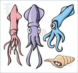 cuttlefish clip art | Illustration of Three cute squid ...
