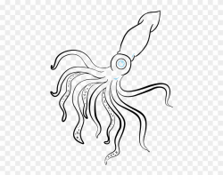 Great Migration Drawing Squid Transparent & Png Clipart ...
