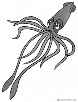 Squid Clipart - ClipartBlack.com