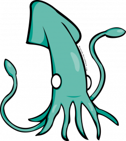 19 Squid clipart real HUGE FREEBIE! Download for PowerPoint ...