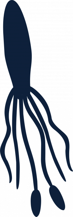 Giant Squid | Club Penguin Rewritten Wiki | FANDOM powered by Wikia