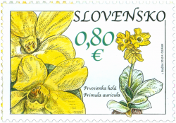 Nature Protection: Muránska Plain - Primerose (Primula Auricula ...