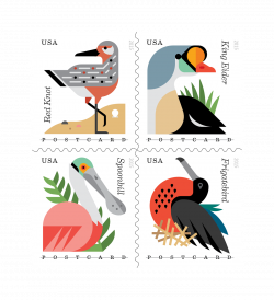USPS Postage Stamps: Coastal Birds on Behance