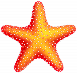 Starfish PNG Clip Art - Best WEB Clipart