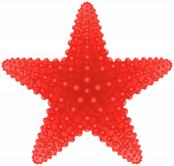 Starfish Transparent PNG Clip Art Image | Gallery Yopriceville ...