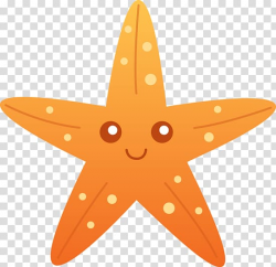 Cartoon Drawing Starfish , sea star transparent background ...