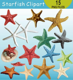 Starfish Clipart, Starfish Clip Art, Under the Sea Clipart, Ocean Clipart,  Beach Clipart, Digital Clipart, Instant Download