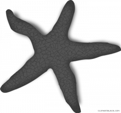 Cute Starfish Clipart - ClipartBlack.com