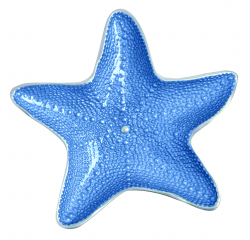 Free Blue Starfish Cliparts, Download Free Clip Art, Free ...