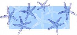 Blue White Starfish Clip Art at Clker.com - vector clip art ...