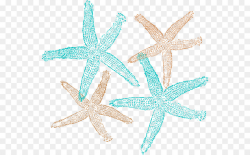 Christmas Clip Art clipart - Starfish, transparent clip art