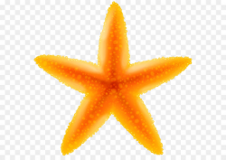 Starfish clipart transparent background » Clipart Station