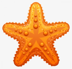 Starfish Clipart PNG, Transparent Starfish Clipart PNG Image ...