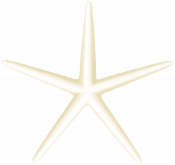 Starfish Transparent Clip Art PNG Image | Gallery Yopriceville ...