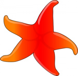 Starfish clipart black and white free clipart images ...
