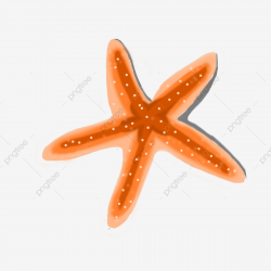Hand Painted Yellow Starfish Marine Life Conch, Shell, Sea ...