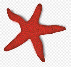 Beach Ocean Marine Life R Ⓒ - Starfish Clip Art - Png ...