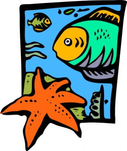 Fish Marine Life Starfish clip art Free vector in Open ...