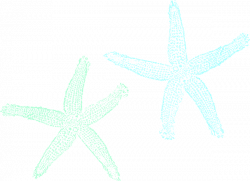 Starfish Wedding PNG, SVG Clip art for Web - Download Clip ...