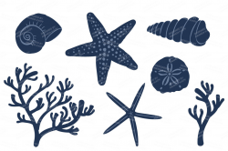 Seashore Shells & Coral Clipart in Navy & Mint By Amanda ...