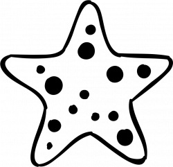 Starfish Svg Png Icon Free Download (#74276) - OnlineWebFonts.COM