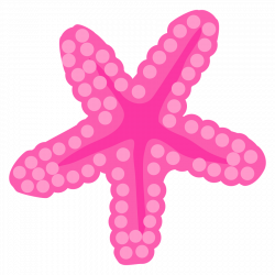 ○•‿✿⁀Ocean Safari‿✿⁀•○ | ᎧcᏋᗩղ ՏᗩƒᗩᖇᎥ | Pinterest ...