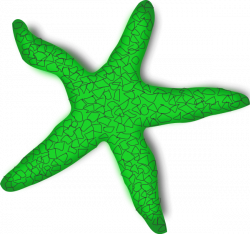 Starfish clipart green ~ Frames ~ Illustrations ~ HD images ~ Photo ...