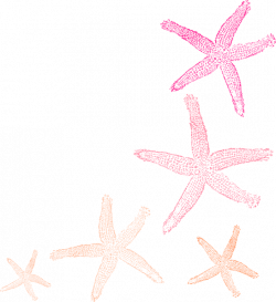 Starfish Orange Pink Clip Art at Clker.com - vector clip art online ...