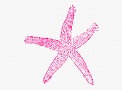 Starfish Clipart Free Image - Blue Sea Shell Clip Art ...