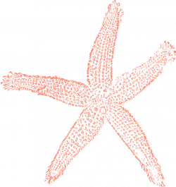 Free Starfish Clipart Group (59+)
