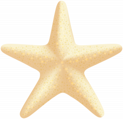 Sea Star PNG Clip Art Image | Gallery Yopriceville - High-Quality ...
