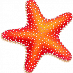 Starfish clipart ocean ~ Frames ~ Illustrations ~ HD images ~ Photo ...