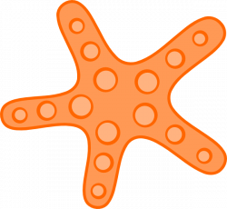 Orange Starfish Clip Art at Clker.com - vector clip art online ...