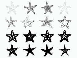 Starfish SVG / Ocean Svg / Clipart/ Cut File / Cricut / Silhouette / Vector  / Dxf