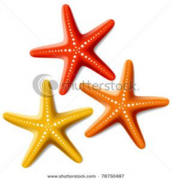 Drawing inspiration for three Starfish - Clipart | Creating ...