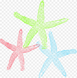 free set of three colorful starfish clip art - graffitee ...