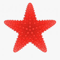 Seashell Clipart Starfishclip - Starfish With Transparent ...